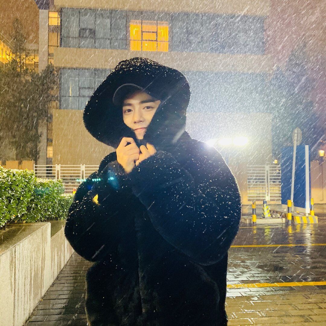 FrostLuxe Hooded Fur Coat
